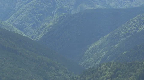 Forests on Transalpina Video stock 57785956
