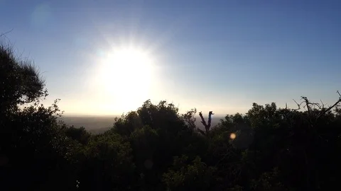 Forests, trees, thorns, in the Goddess Valley Israel Vidéo 125074489