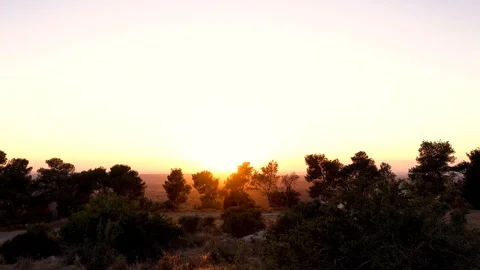 Forests, trees, thorns, in the Goddess Valley Israel Vidéo 125075082