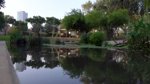 Forests, trees, thorns, in the Goddess Valley Israel grapes wine, 스톡 동영상 196976789