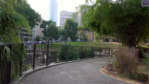 Forests, trees, thorns, in the Goddess Valley Israel grapes wine, Vidéo 196978301