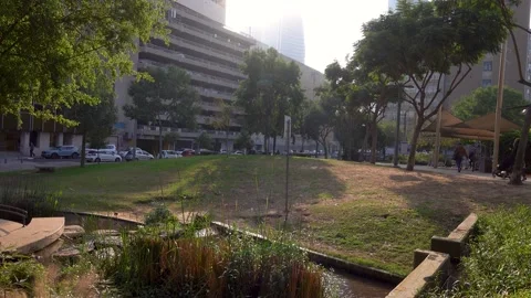 Forests, trees, thorns, in the Goddess Valley Israel grapes wine, Vidéo 196978459