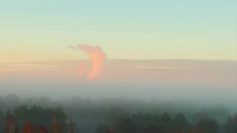 Forests under the fog Stock Footage 74911457