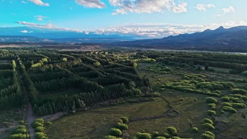 Forests, waters and mountains. Stock Footage 299619482