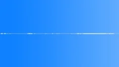 FOREST,WIND Sound Effect