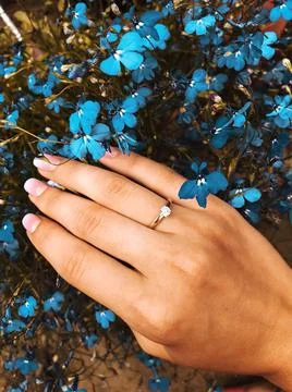 Forever Bloom Foto stock