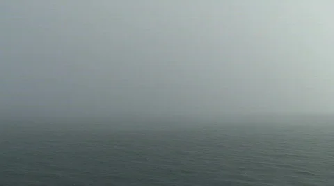 Forever Fog Stock-Footage 445938