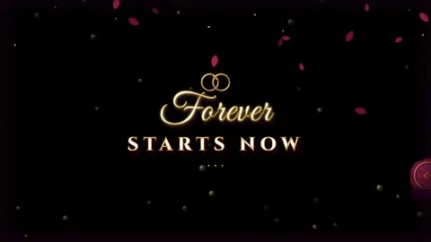 Forever starts now with rings and petals on a dark background Stock Footage 344512474