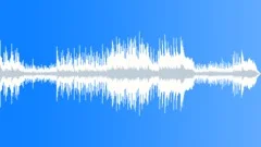 Forever TrueStock Music