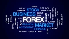 Royalty free forex images