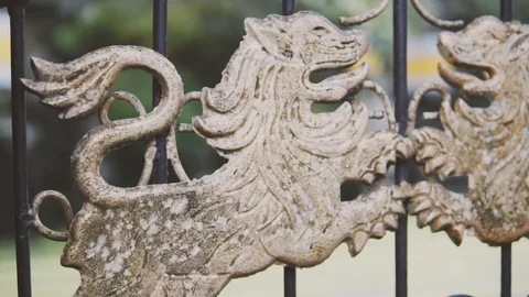 The forge iron gates of the old royal luxary palace with two golden forged lions Stock Footage 85725402