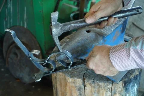 Forged gates created by a master. 스톡 사진