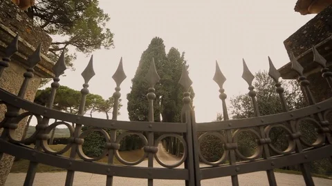 Forged gates. passage through the gate Stock Footage 94364794