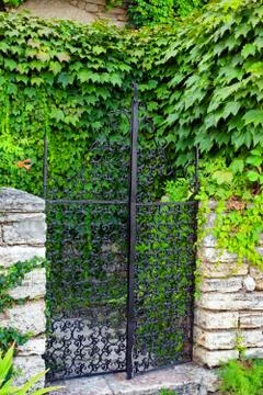 Forged gates. Stock Photos