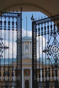 Forged gates. Stock Photos
