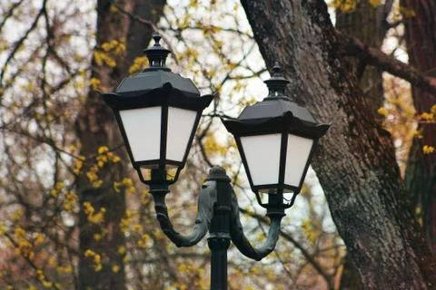 Forged lantern in the park Stock Photos