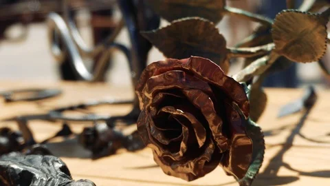 Forged rose. Close-up Stock Footage 110836989
