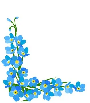 Forget Me Not Flower Stock Illustration