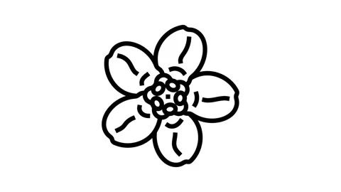Forget me not flower spring line icon animation Stock Footage 326135364