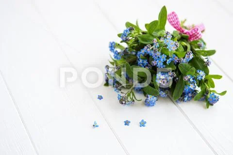 Forget-me-nots flowers bouquet Stock Photos