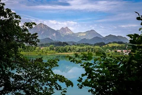 Forggensee landscape framed by trees with Alpine mountains Stock Photos