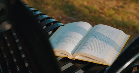 Forgotten Book Lies Open on an Empty Park Bench at Sunset. Vídeos de archivo 243988634