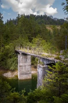 Forgotten Bridge in the Forest Stock Photos