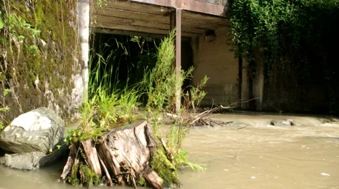 Forgotten bridge in the woods 스톡 동영상 40608954