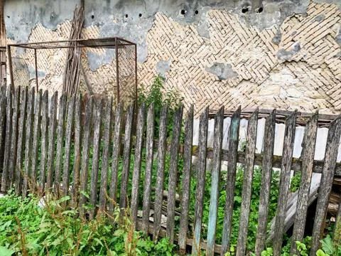 Forgotten building surrounded by trees and full grown up plant Stock Photos