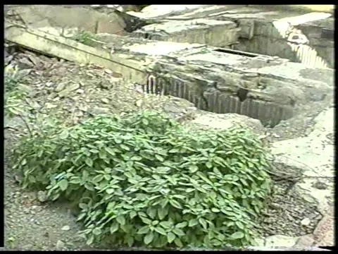 Forgotten Garden Stock Footage 342692096