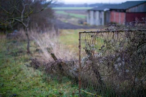 Forgotten Gate, Overgrown Path Stock Photos