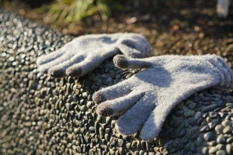Forgotten gloves Stock Photos