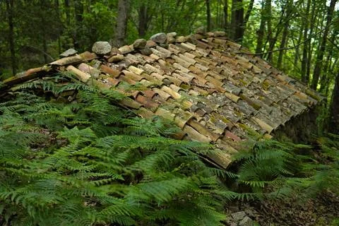The Forgotten Hut. An ancient stone hut hidden deep in the mossy forest. 스톡 사진