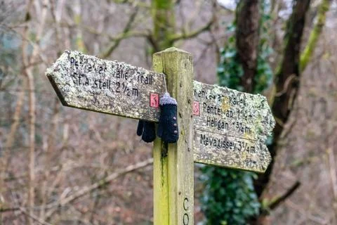 A forgotten pair of mittens hanging on a trail post Stock Photos