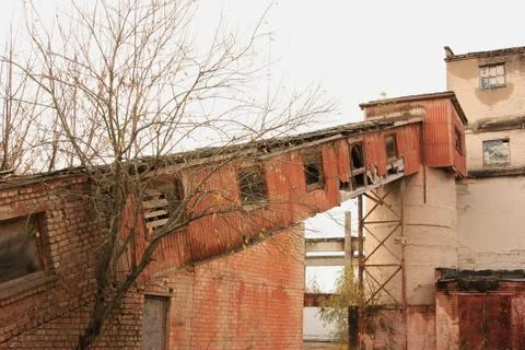 Forgotten path 写真素材