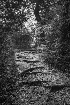 Forgotten path Foto stock