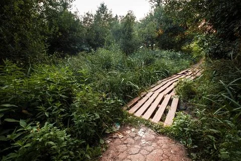 The Forgotten Path Stock Photos