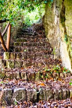 Forgotten stone stairs Stock Photos