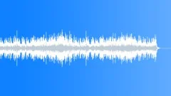 Forgotten Stories (WP) 04 Alt3 (contemplative,tender,emotional,sad,warm,hopeful)Stock Music