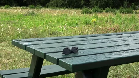 Forgotten sunglasses in the rain. Stock Footage 254147477
