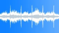 Forgotten Swamp - Loopable Soundscape Sound Effect