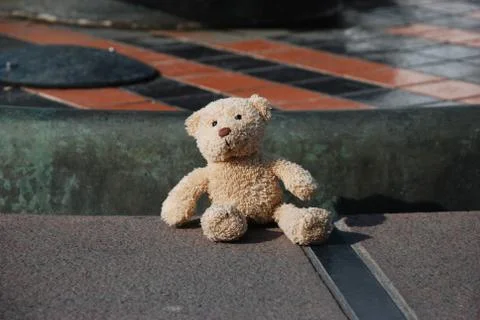 A forgotten teddy bear Stock Photos