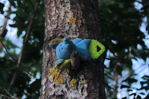 Forgotten toy on the tree Stock Photos