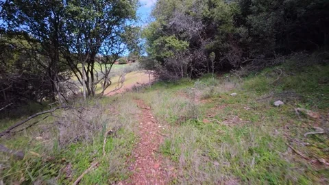 Forgotten Trail Through Dense Greenery Opens to a Valley View Vídeo Stock 303487733