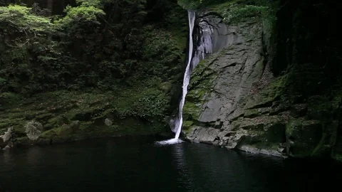Forist waterfall japan Stock Footage 73676007