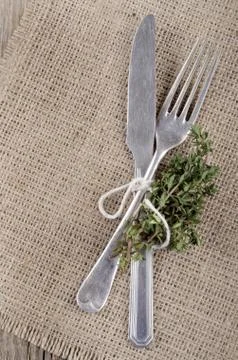 Fork and knife with thyme Stock Photos
