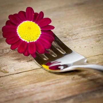 Fork with flower Stock Photos