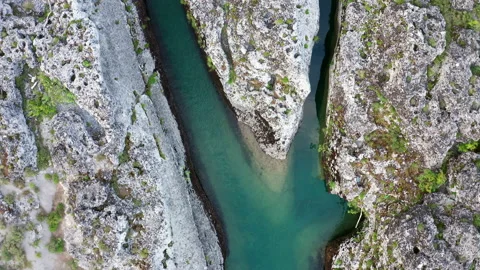 Fork of a green narrow mountain river flowing through rocky landscape Stock Footage 133170913