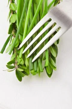 Fork with hebs Foto stock