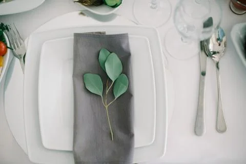 Fork with knife, eucalypt on blank plates. Restaurant table settings Stock Photos